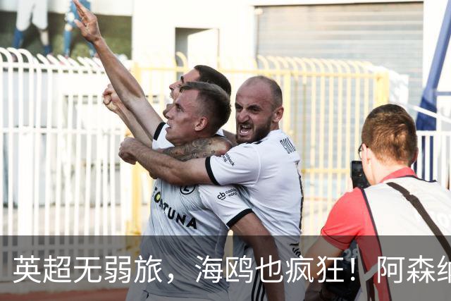 英超无弱旅，海鸥也疯狂！阿森纳3球惨败，拉亚成了远射背景板